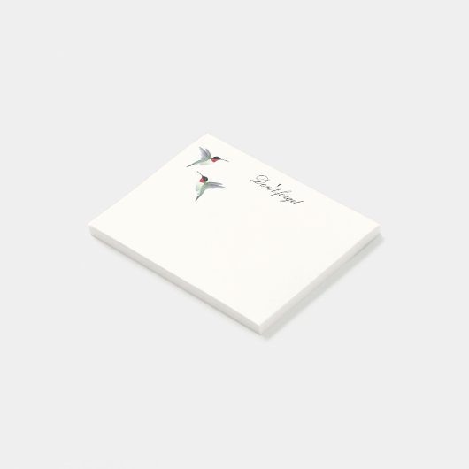 Ruby-thromingbird Notes (Schuin)