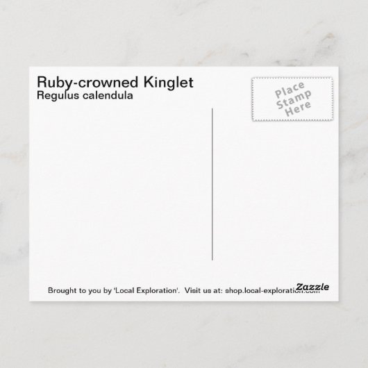Ruby-vol Kinglet Briefkaart (Achterkant)