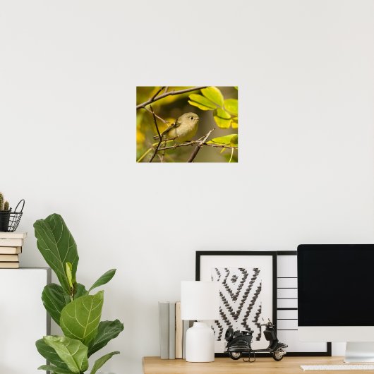 Ruby-vol Kinglet Poster (Thuiskantoor)