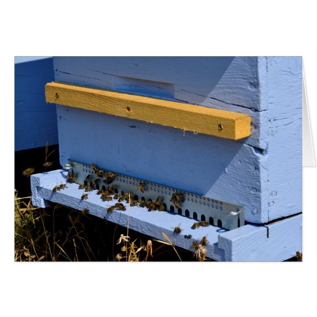 ruche bleue (Devant horizontal)