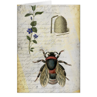 Ruche de fleur d'abeille