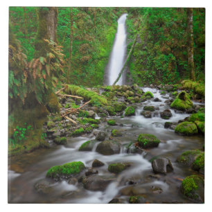Ruckel Creek Falls, Columbia River Gorge Oregon Tegeltje