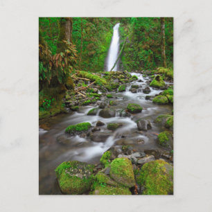 Ruckel Creek Herfsten, Columbia River Gorge Oregon Briefkaart