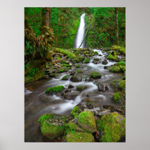 Ruckel Creek Herfsten, Columbia River Gorge Oregon Poster