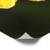 Rudbeckia Daisy Poster (Hoek)