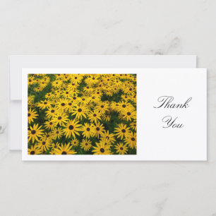 Rudbeckia Hirta (Black-eyed Susans) - Dank u wel Bedankkaart