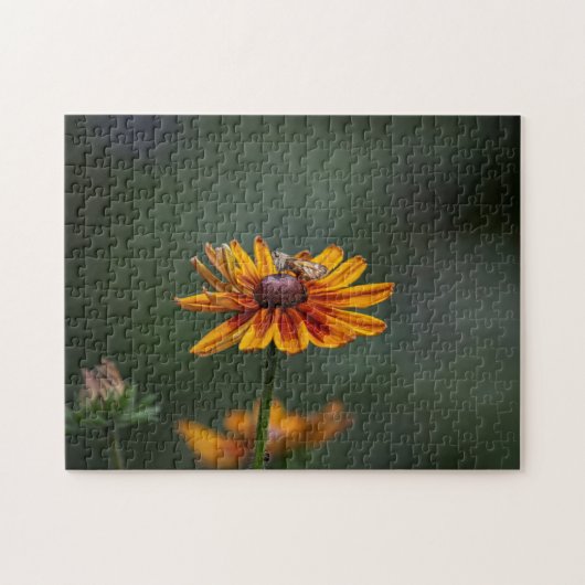 Rudbeckia Sitting Pretty Puzzle Legpuzzel (Horizontaal)
