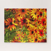 RUDBECKIA-STROMEN LEGPUZZEL (Horizontaal)