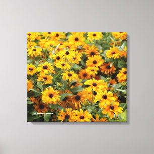 Rudbeckias / Bed of Black-Eyed Susans Canvas Afdruk