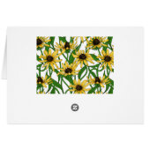 Rudbekia jaune sur blanc (Dos Horizontal)