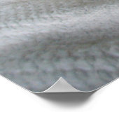 Ruddy Abyssinian Cat Poster (Hoek)