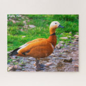 Ruddy Duck Legpuzzel (Horizontaal)