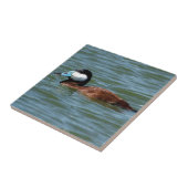 Ruddy Duck Tegeltje (Zijkant)