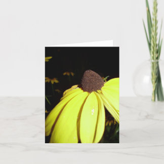 Rudebekia-kaart Kaart