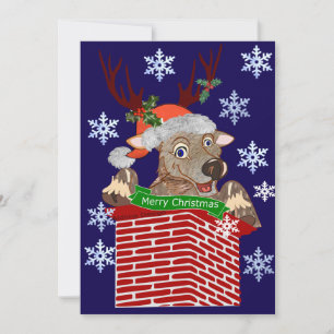 Rudolf kerstgroet feestdagenkaart