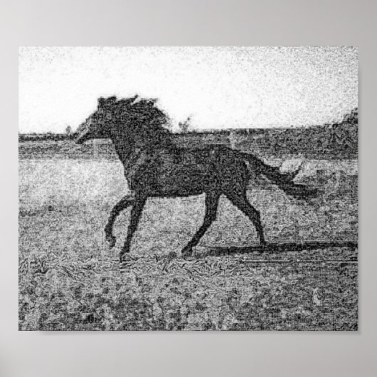 RUDOLFO - HORSE POSTER (Devant)
