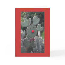 Rudolph Cactus