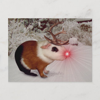 Rudolph de rode neus cavia feestdagenkaart