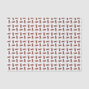 Rudolph, papier de soie de soie