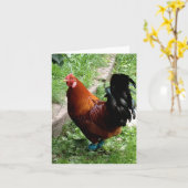 Rudy Kaart (Gele Bloem)