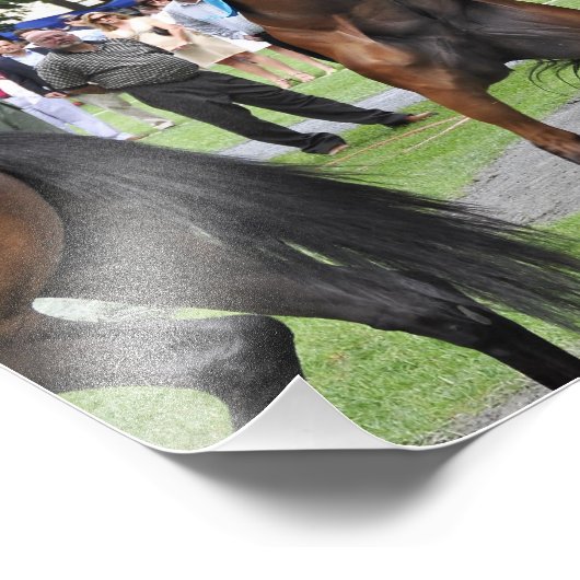 Rudy Rudy Rudy Foto Afdruk (Hoek)