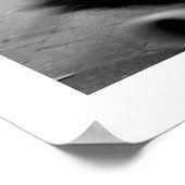 Rue Daguerre Hommage à Agnes Varda 5 Poster (Coin)