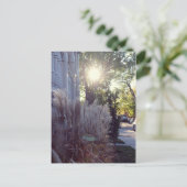 Rue Théodore Briefkaart (Staand voorkant)