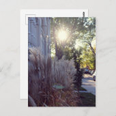 Rue Théodore Briefkaart (Voorkant / Achterkant)