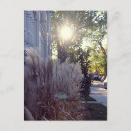 Rue Théodore Briefkaart