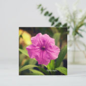 Ruellia simplex (Staand voorkant)