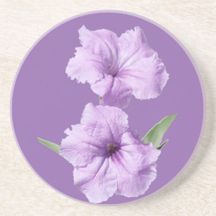 Ruellia Wild Petunia Flowers Zandsteen Onderzetter