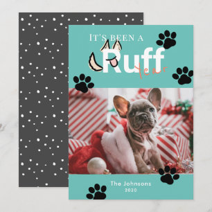 Ruff Jaar Turquoise Blauwe Hond Foto Kerstmis Feestdagenkaart