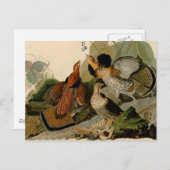 Ruffed Grouse Audubon Game Bird Briefkaart (Voorkant / Achterkant)