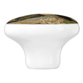 Ruffed Grouse Audubon Game Bird Keramische Knop (Zijkant)