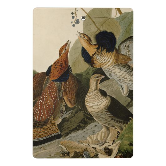 Ruffed Grouse Audubon Game Bird Mini Klembord (Achterkant)