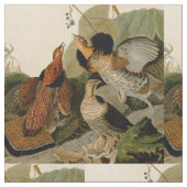 Ruffed Grouse Audubon Game Bird Stof (Close Up)