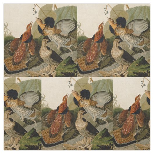 Ruffed Grouse Audubon Game Bird Stof (Swatch)