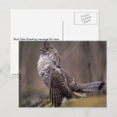 Ruffed Grouse Briefkaart (Voorkant / Achterkant)