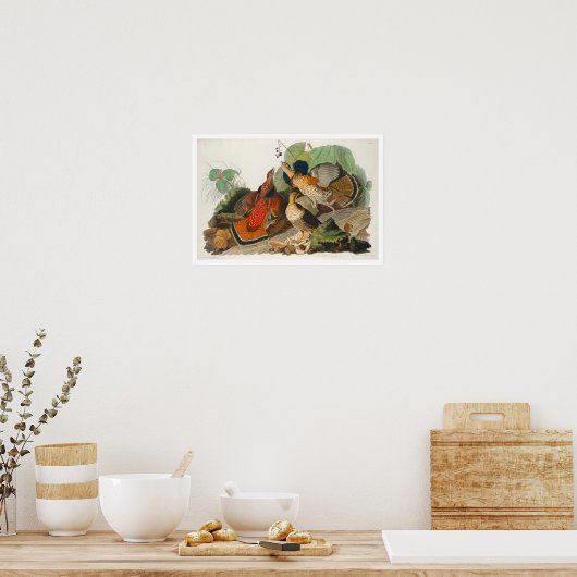 Ruffed Grouse by Audubon Poster (Keuken)