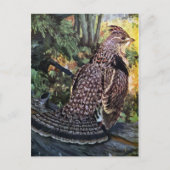 Ruffed Grouse in het bos Briefkaart (Voorkant)