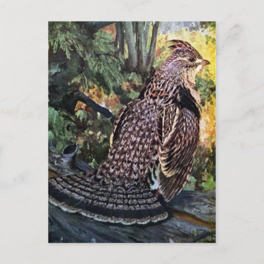Ruffed Grouse in het bos Briefkaart (Voorkant)