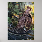 Ruffed Grouse in het bos Poster (Voorkant)