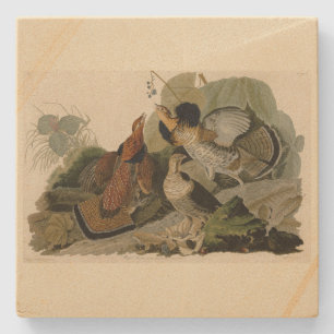 Ruffed Grouse - van de Amerikaanse vogels van Audu Stenen Onderzetter