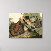 Ruffed Grouse van John Audubon Canvas Afdruk (Voorkant)