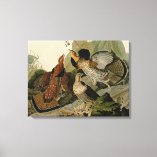Ruffed Grouse van John Audubon Canvas Afdruk