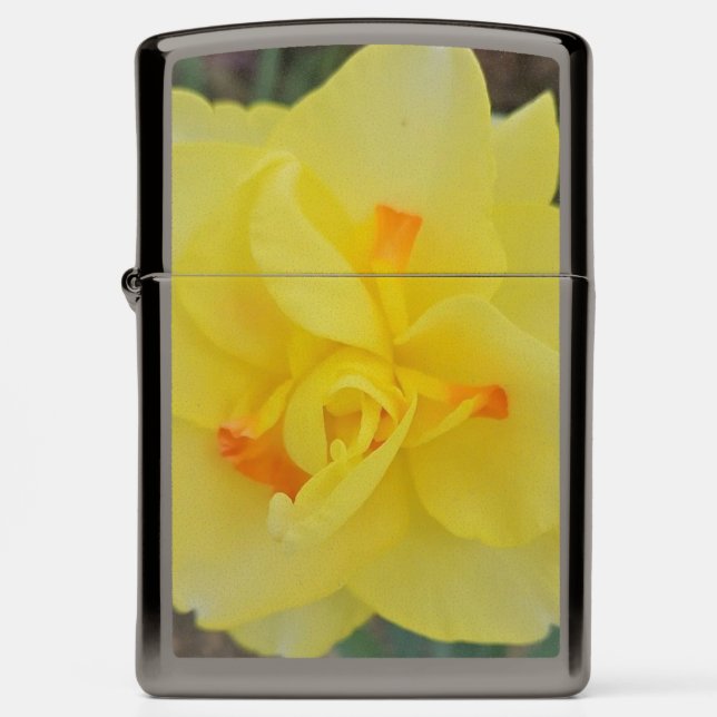 Ruffled Daffodil (Front)