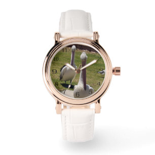 Ruffled Feathers: Pelikanen met een houding, Horloge
