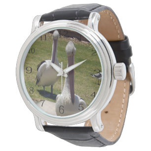 Ruffled Feathers: Pelikanen met een houding, Horloge