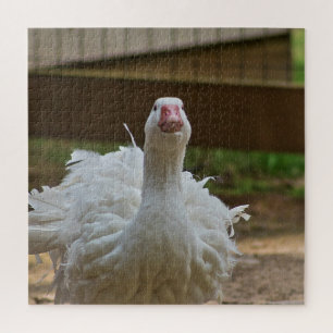 Ruffled Goose Legpuzzel