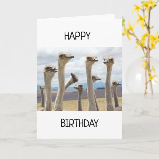 RUFFLED POULET FEATHERERED DIRE HEUREUSE CARTE D'A (Fleur jaune)